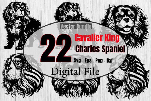 Cavalier King Charles Spaniel Dog Bundle Review