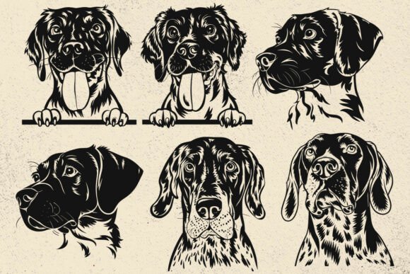 German Shorthaired Pointer Embroidery Design Review