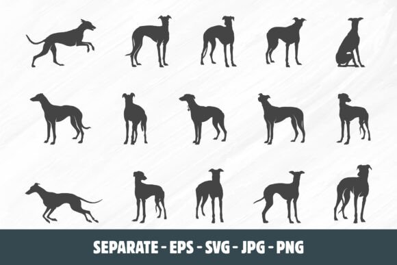 Greyhound Svg, Greyhound Dog Silhouette