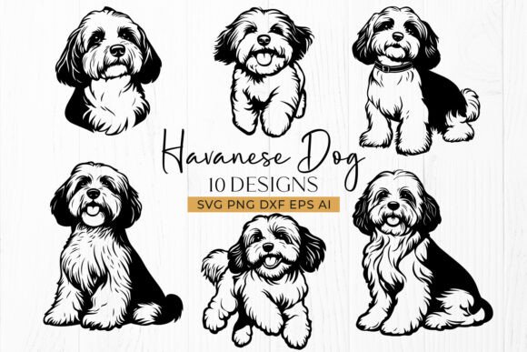 Havanese Dog SVG Bundle – Dog Silhouette Review