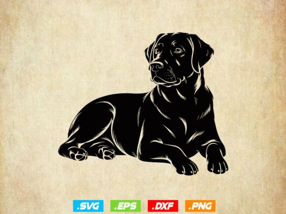 Rottweiler Dogs Svg, Dog Pet Lover