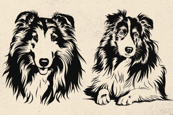 Shetland Sheepdog SVG Review: A Designer's Take